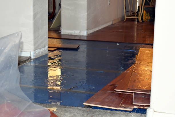 Professional Basement Water Removal technician working in Normandy, TN